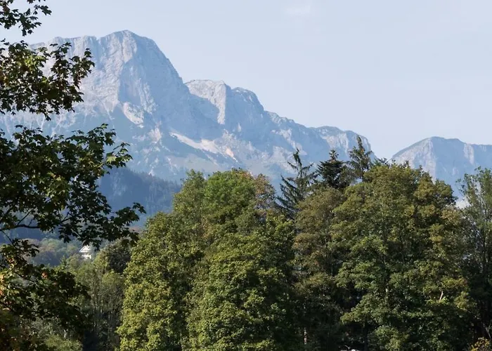 Hirscheck Daire